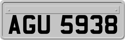 AGU5938