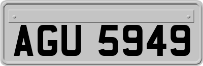 AGU5949
