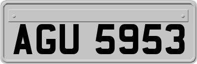 AGU5953