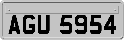 AGU5954