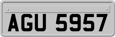 AGU5957