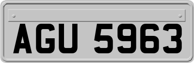 AGU5963