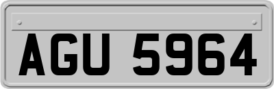 AGU5964