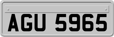 AGU5965
