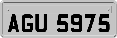 AGU5975
