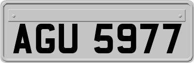 AGU5977