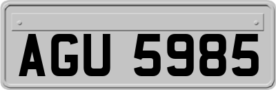 AGU5985