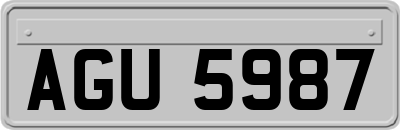 AGU5987