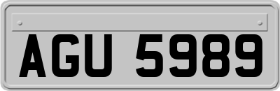 AGU5989