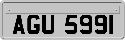AGU5991