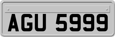 AGU5999
