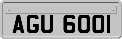AGU6001