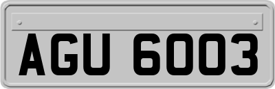 AGU6003