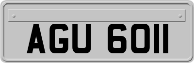 AGU6011