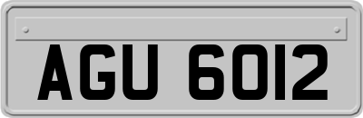 AGU6012