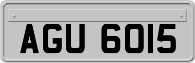 AGU6015