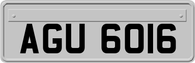 AGU6016