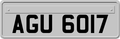 AGU6017