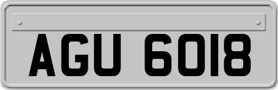 AGU6018