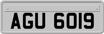 AGU6019