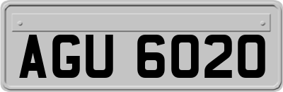 AGU6020