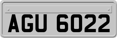 AGU6022