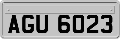 AGU6023