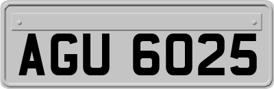 AGU6025