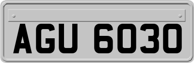 AGU6030