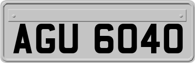 AGU6040