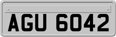 AGU6042
