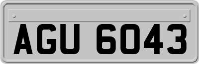 AGU6043