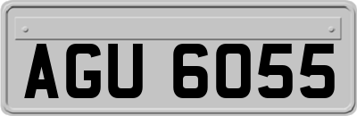 AGU6055