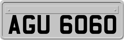 AGU6060