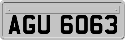 AGU6063