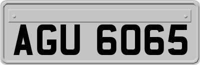AGU6065