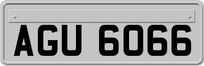 AGU6066