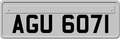 AGU6071