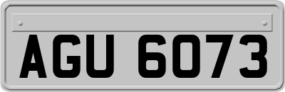 AGU6073