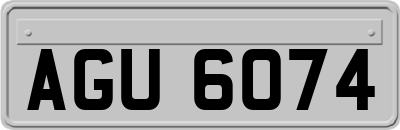 AGU6074