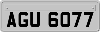 AGU6077