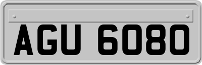 AGU6080