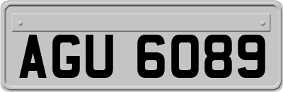 AGU6089