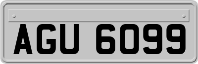AGU6099