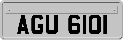 AGU6101