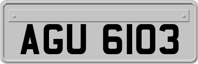 AGU6103