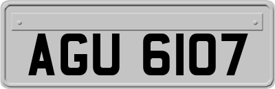 AGU6107