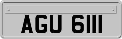 AGU6111