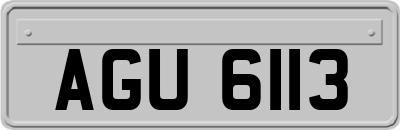 AGU6113
