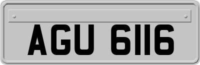 AGU6116